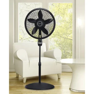 Oscillating Pedestal Fan